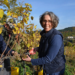 Bioland Weingut Peter Landmann Staufen Breisgau Badische Bio Weine